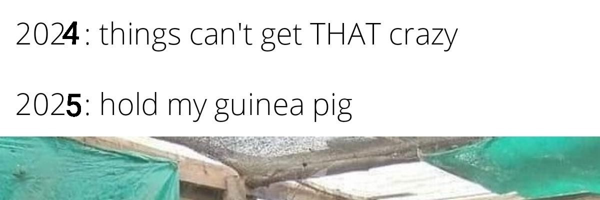 Guinea pigs banner