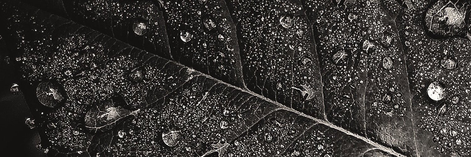 Primary_Color5's profile banner image