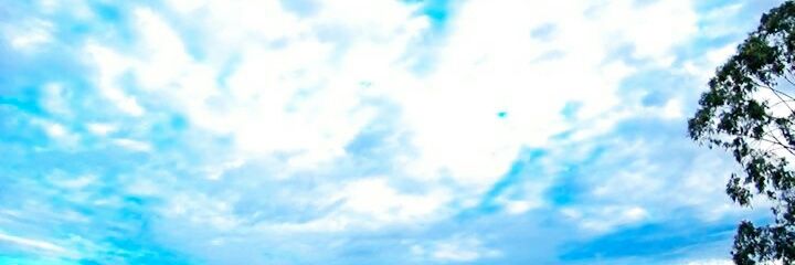 larissafelippe's profile banner image
