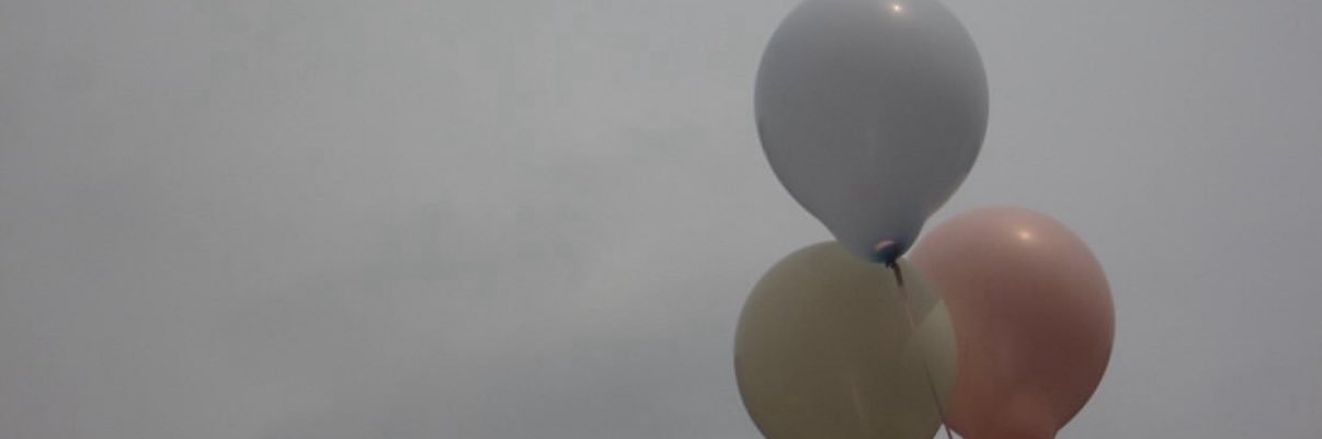 𝙨𝙪 🍣 banner