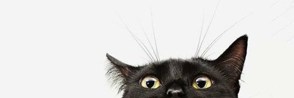 CTO_Cats Profile Banner