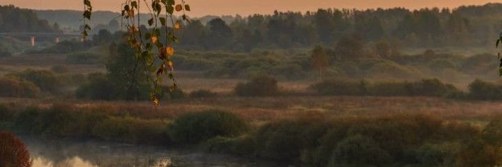 syver. banner