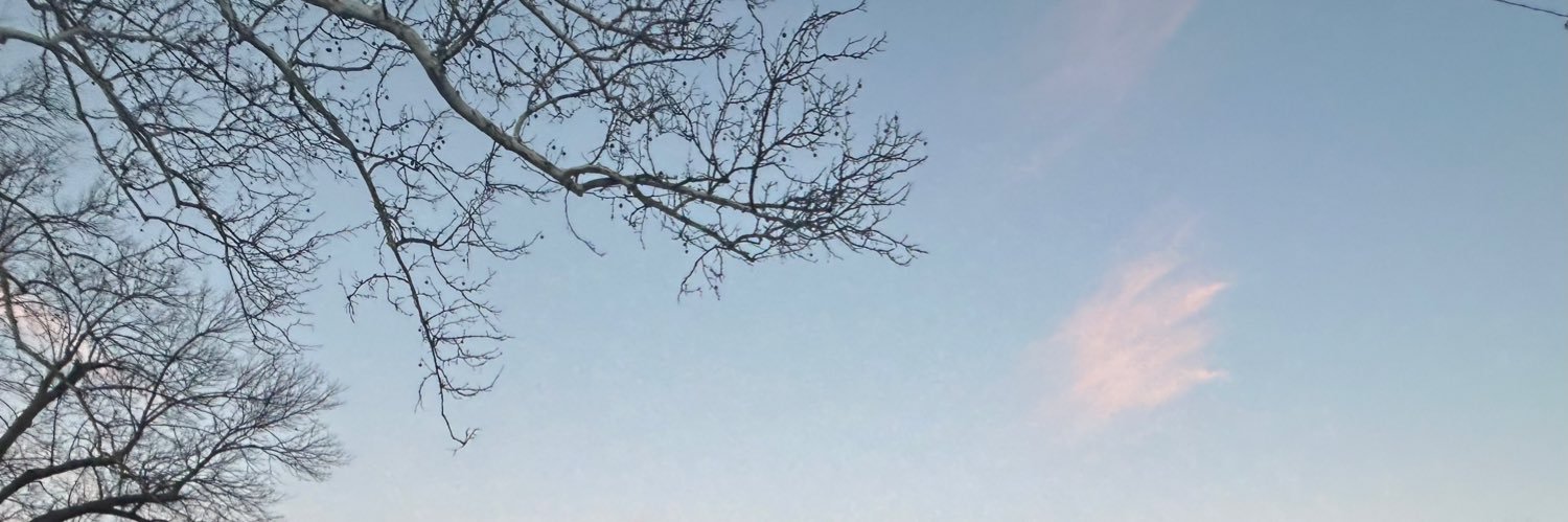 AudFoxes's profile banner image