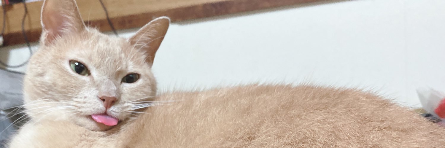 Nee_san_'s profile banner image