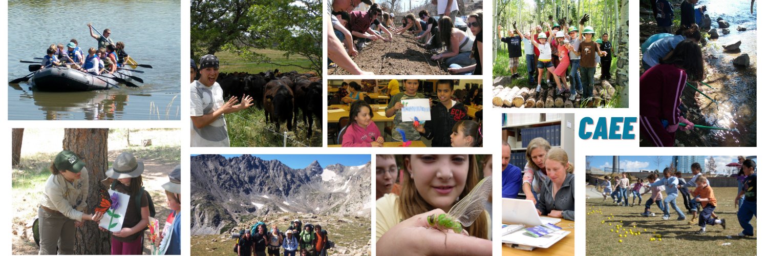 CAEE banner