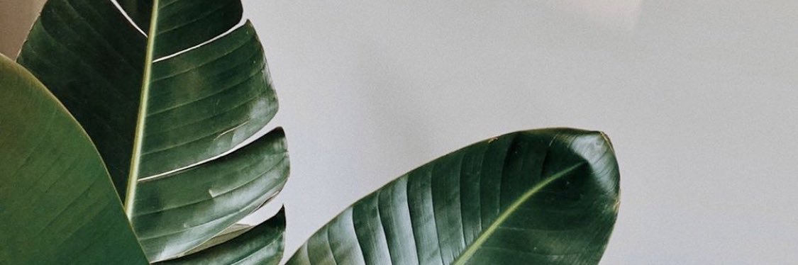 RachelleLim's profile banner image