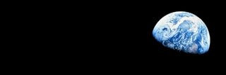 inf0saurus banner