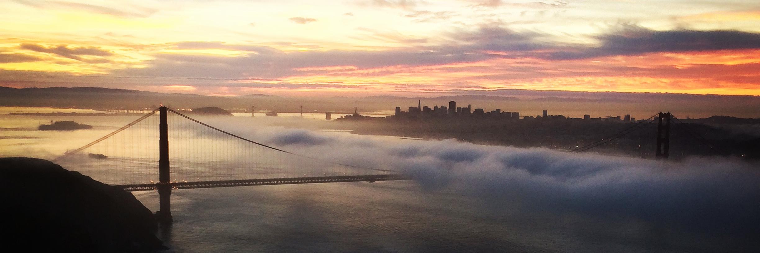 Morgan Bender banner