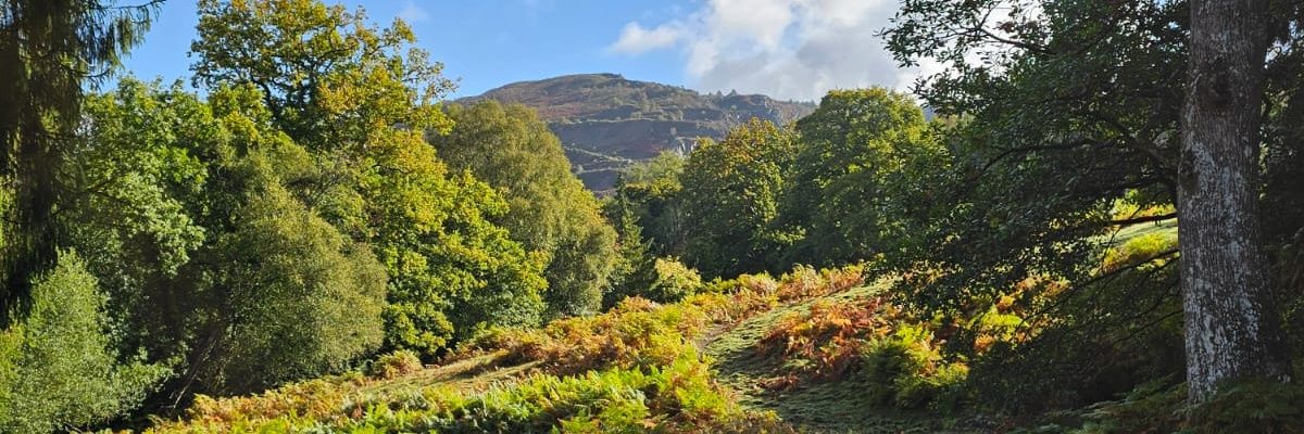 Russell Evans banner