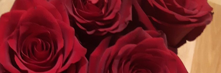 GellyPross's profile banner image