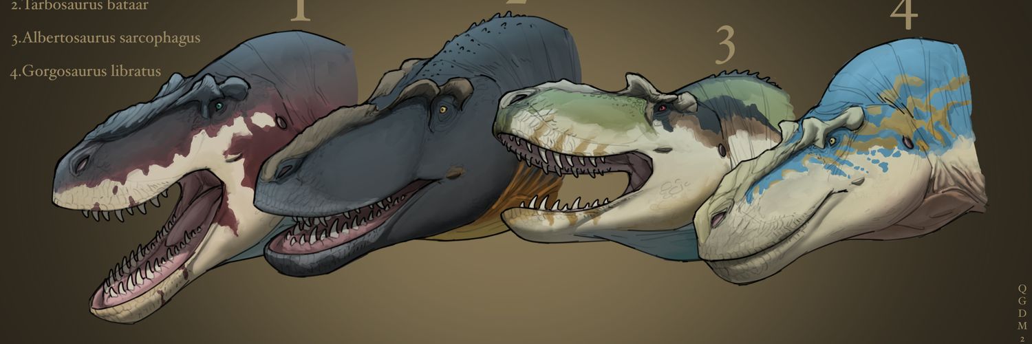 Qiguaidamao 2025's banner