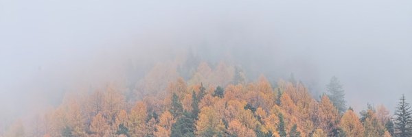 florin_dev Profile Banner