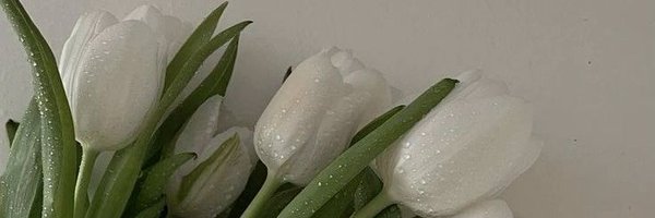 gajicsimona1 Profile Banner