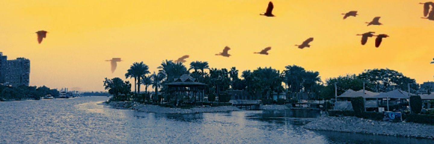 19A88X's profile banner image