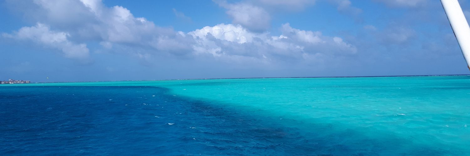 AnaMariaOsor's profile banner image