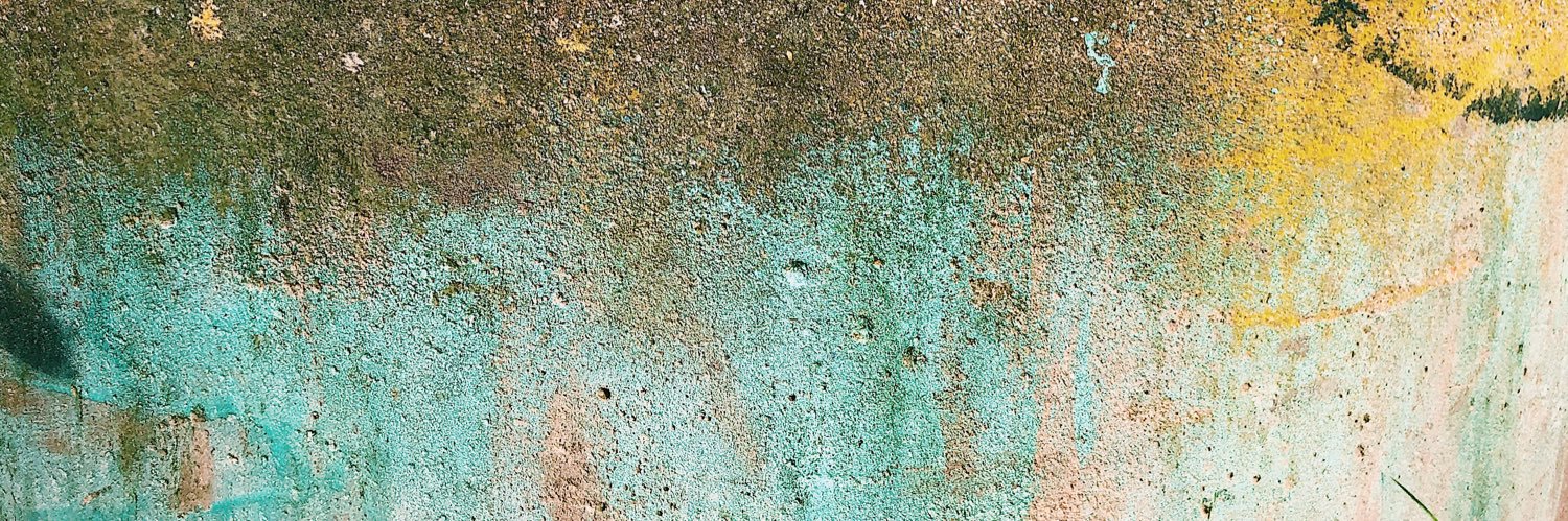 dead rat orchestra banner