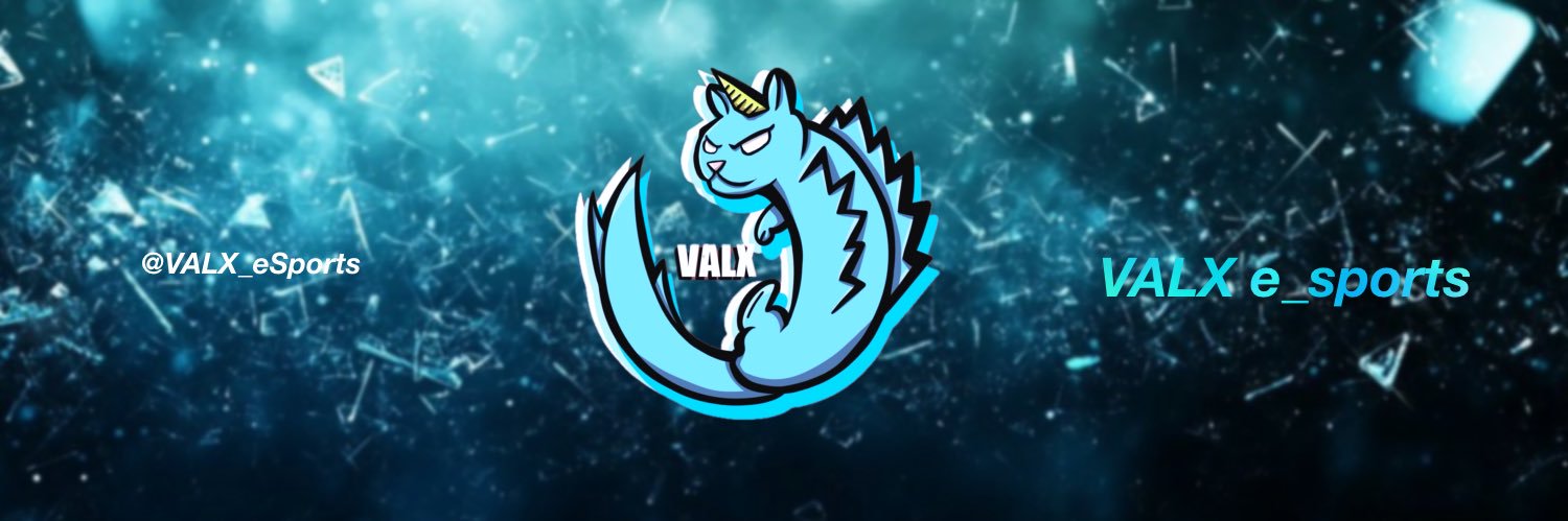 VALX_e_sports banner