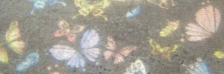 ningyizbao's profile banner image