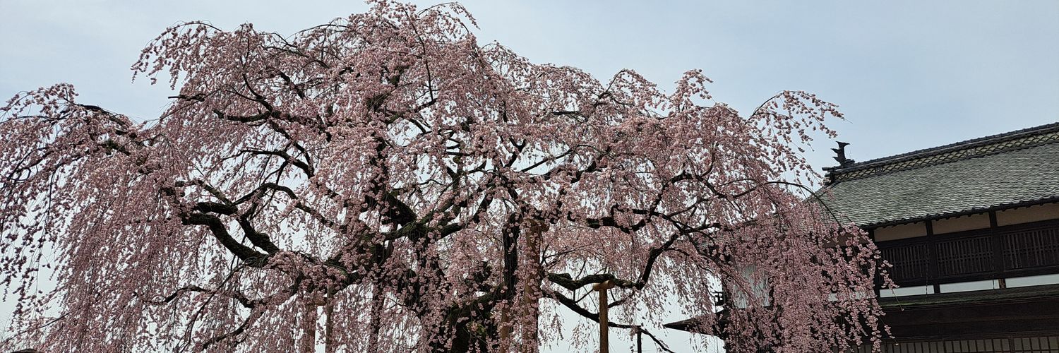 hisomiya's profile banner image