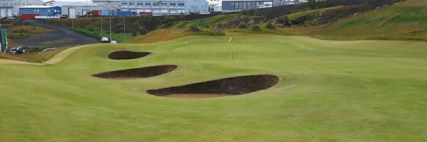 Bjarni hannesson banner