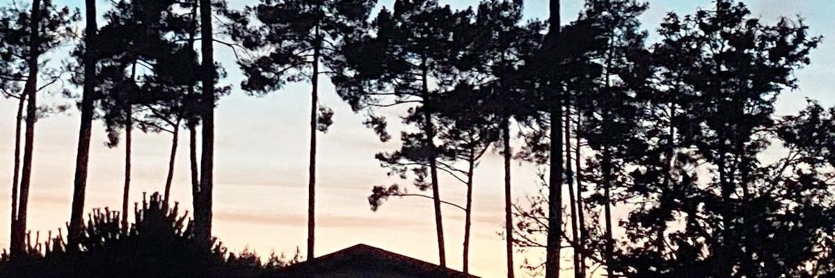 FabGrignon's profile banner image