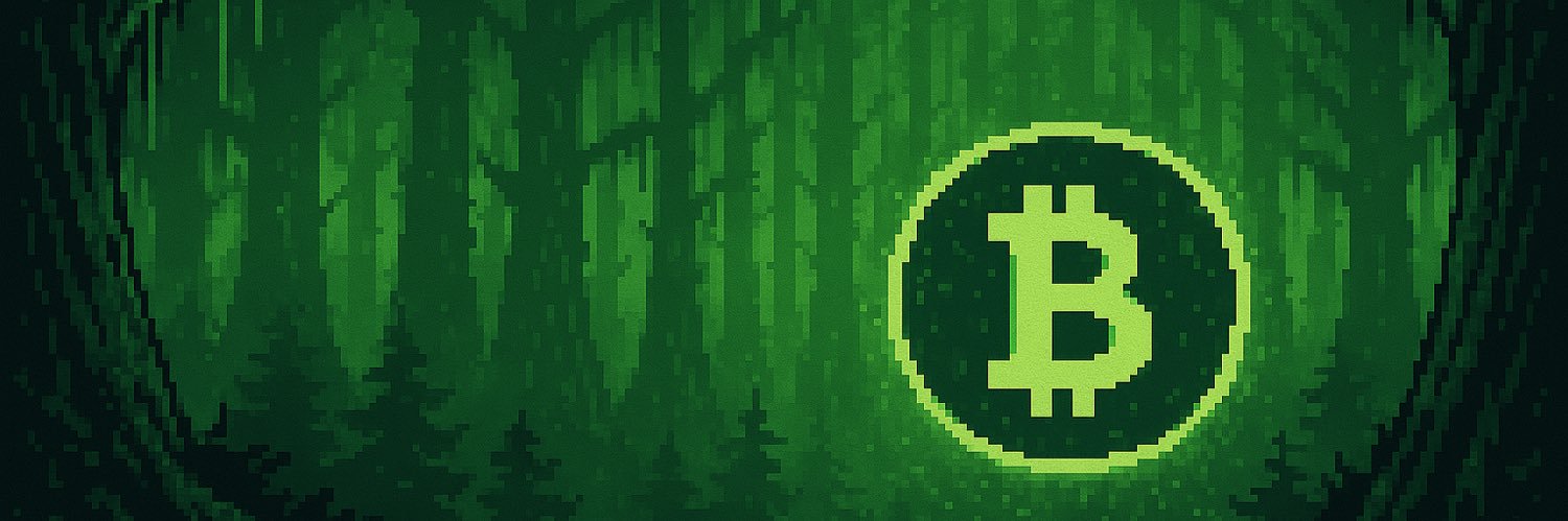 BitcoinARS | Hard Work & Hard Money banner