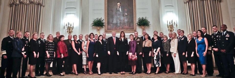 The TDS Doctor banner