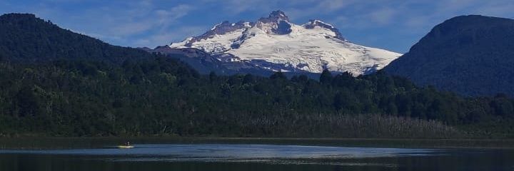 Bruno Zattarin banner