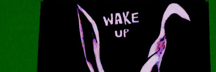 ceceliamcc's profile banner image