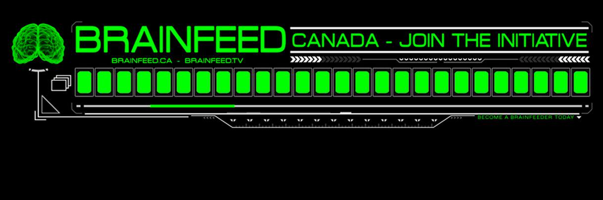 realBrainFeed's profile banner image