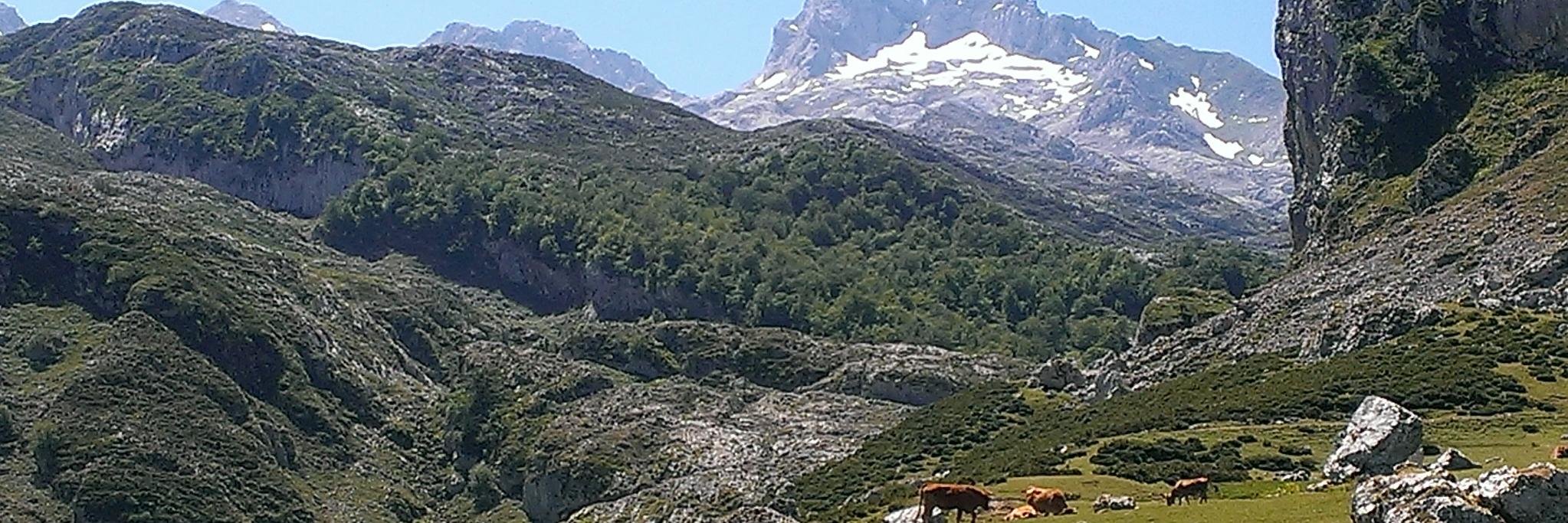 Rául Villanueva banner