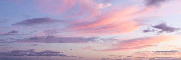 dylanbicol_'s profile banner image