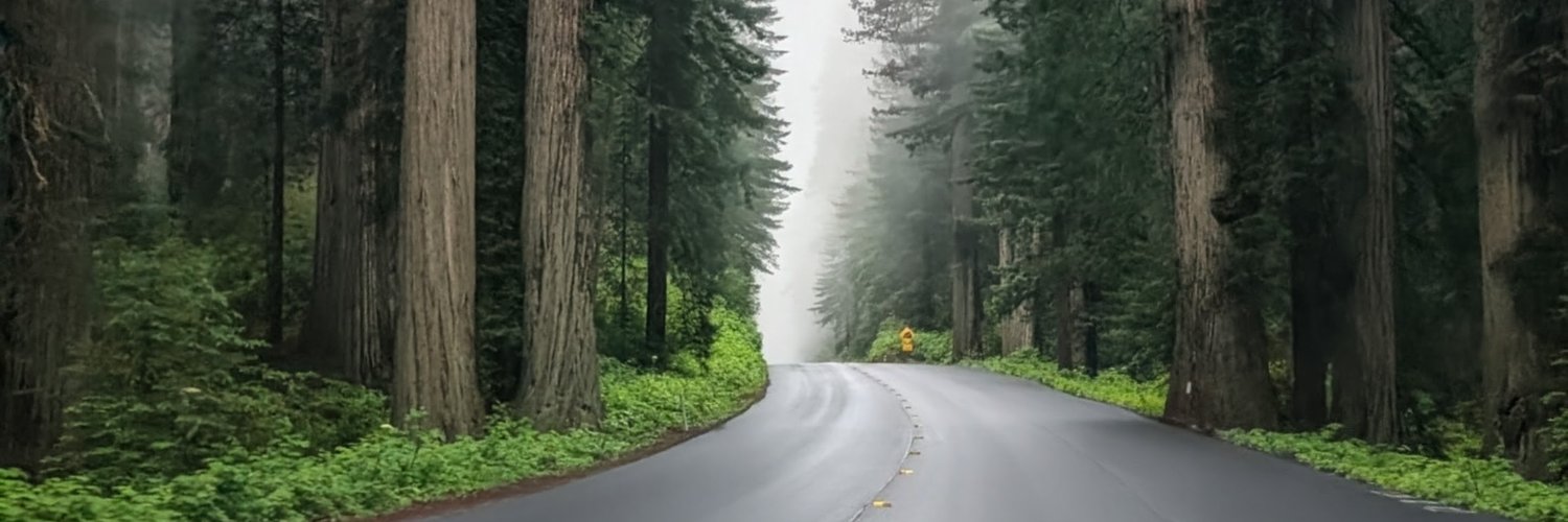 Dannikali925's profile banner image