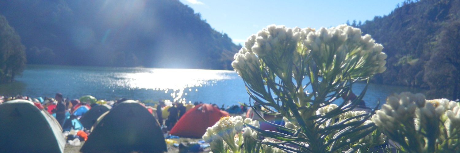 raditazaidan's profile banner image