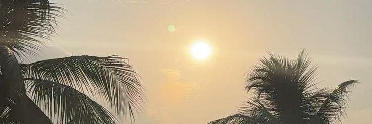 Tunnmiii's profile banner image