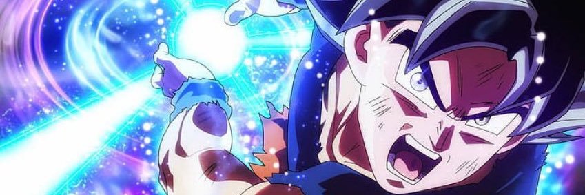 Son Goku's banner