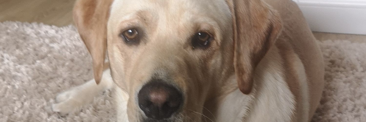 Camrobb6083's profile banner image