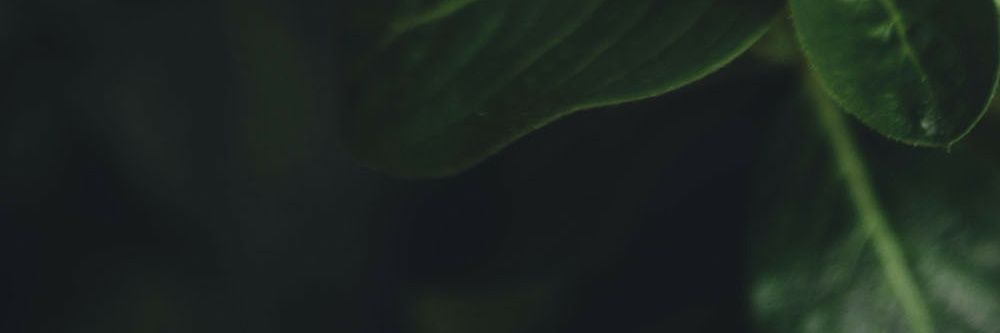 ል banner