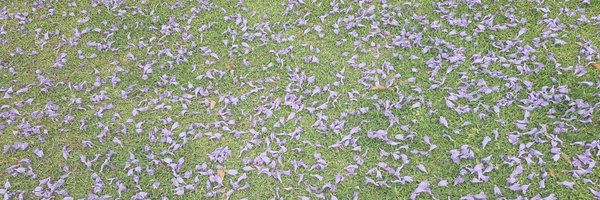 hersinta Profile Banner