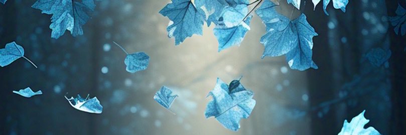 BlueAutumnL_ves's profile banner image