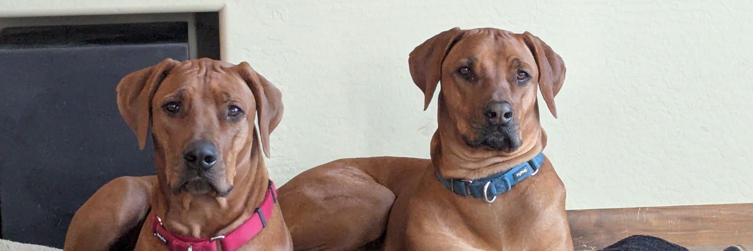 RowdyRidgeback banner