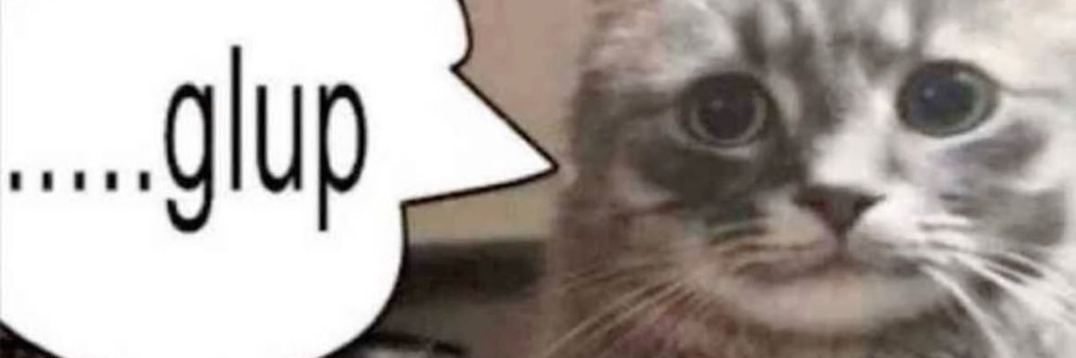 Goober about boobers banner