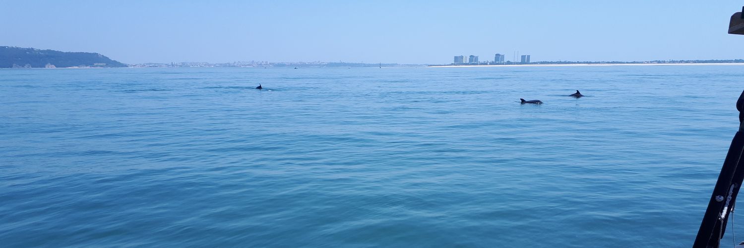 kling_andreas's profile banner image