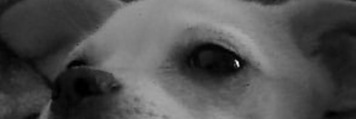 catiamfribeiro's profile banner image
