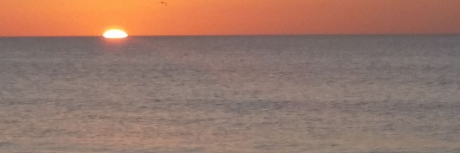 msmichael810's profile banner image