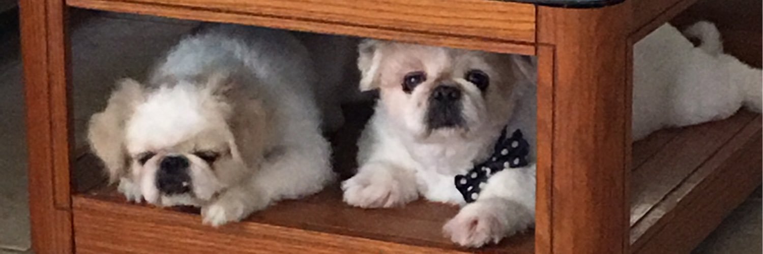addy9109's profile banner image
