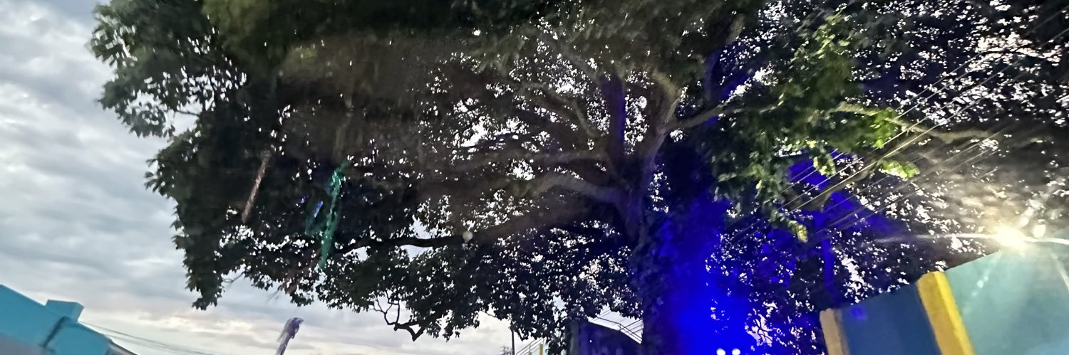 eaedoda's profile banner image