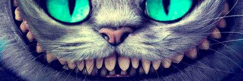 JennRosado91's profile banner image