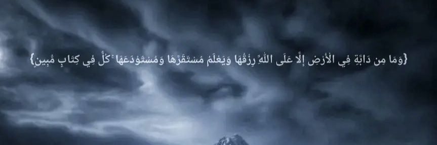 الروش ♑️🌸 banner