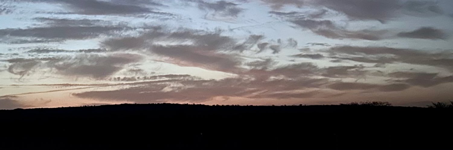 qMo77's profile banner image